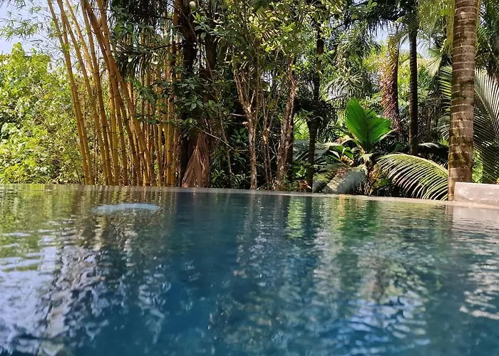 A Peace In Paradise
