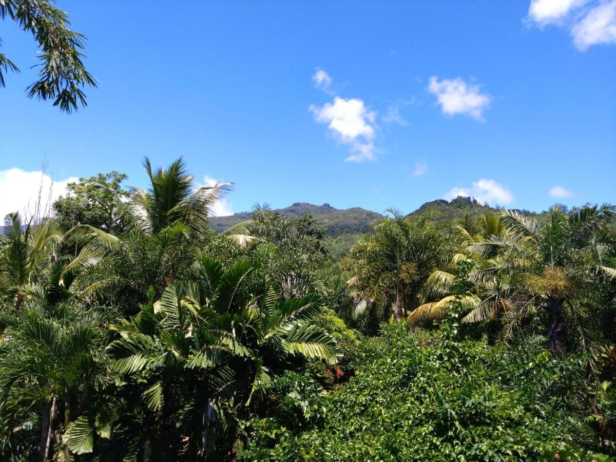 A Peace In Paradise * Anse Royale