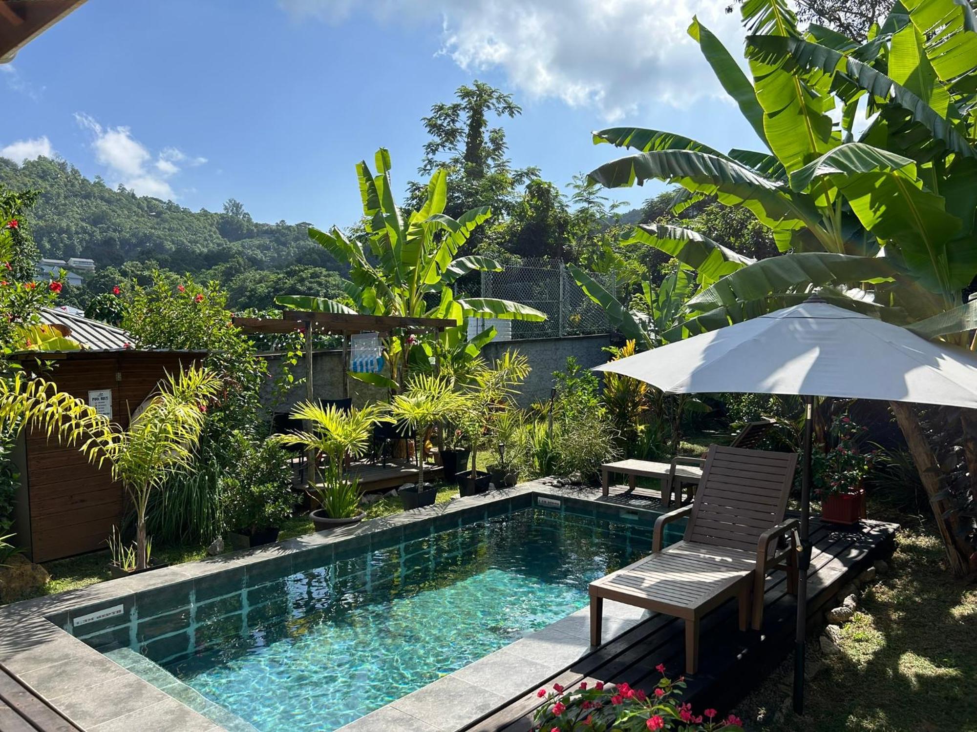 A Peace In Paradise