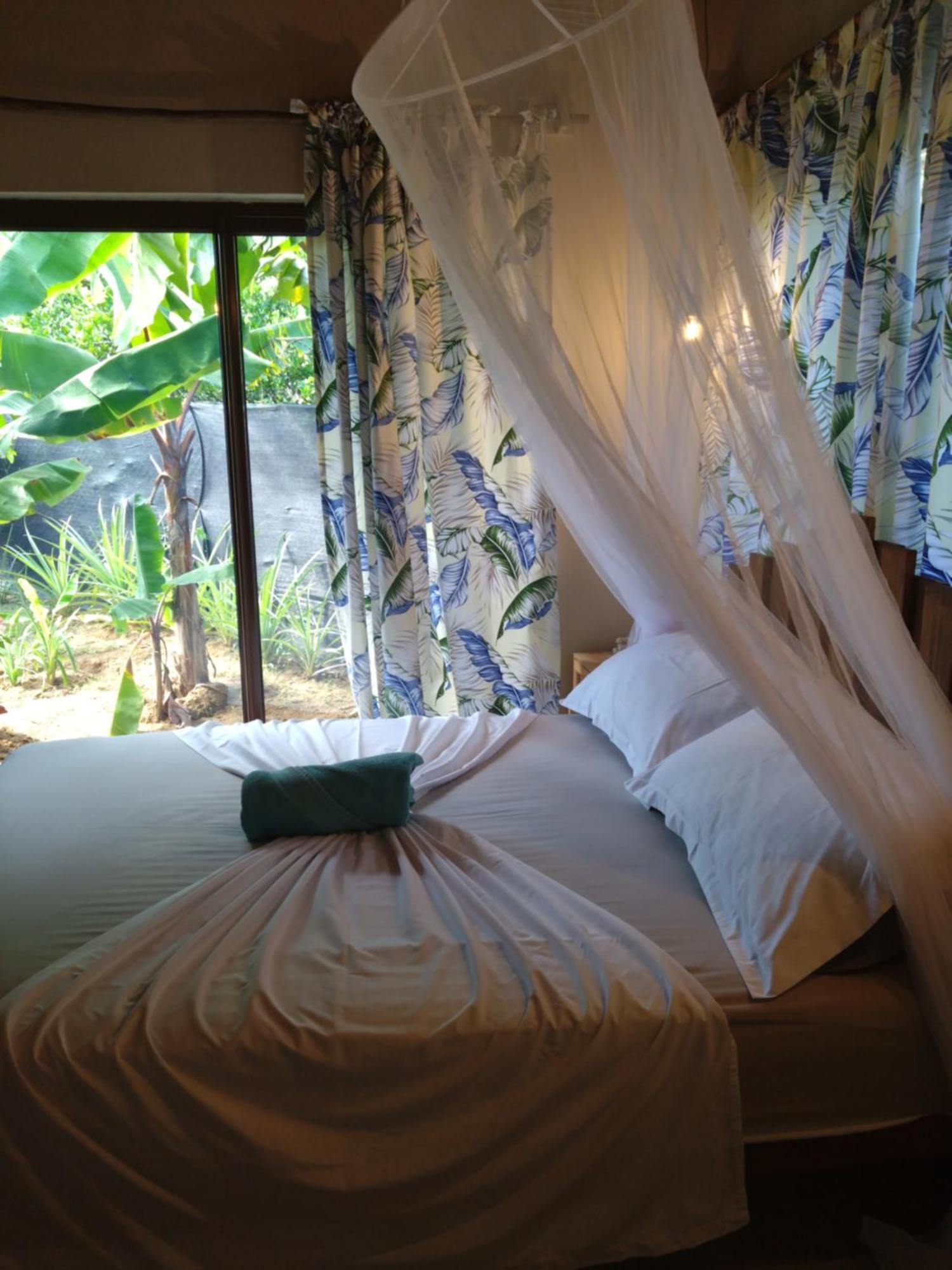 A Peace In Paradise Anse Royale