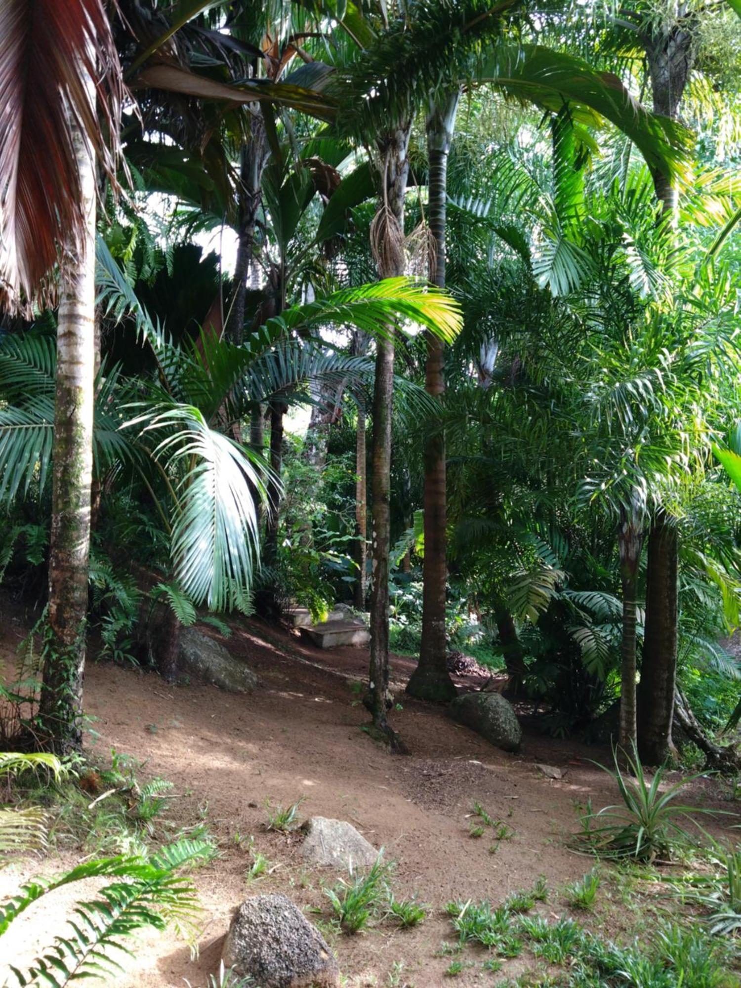 A Peace In Paradise Chalet