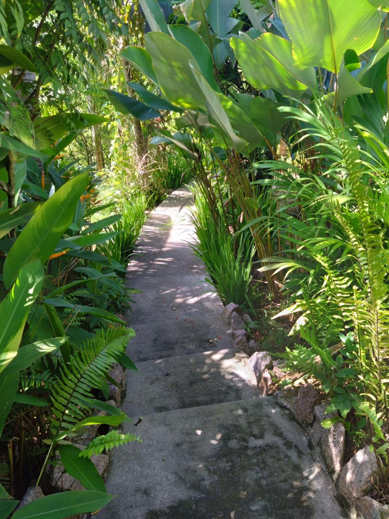 A Peace In Paradise * Anse Royale
