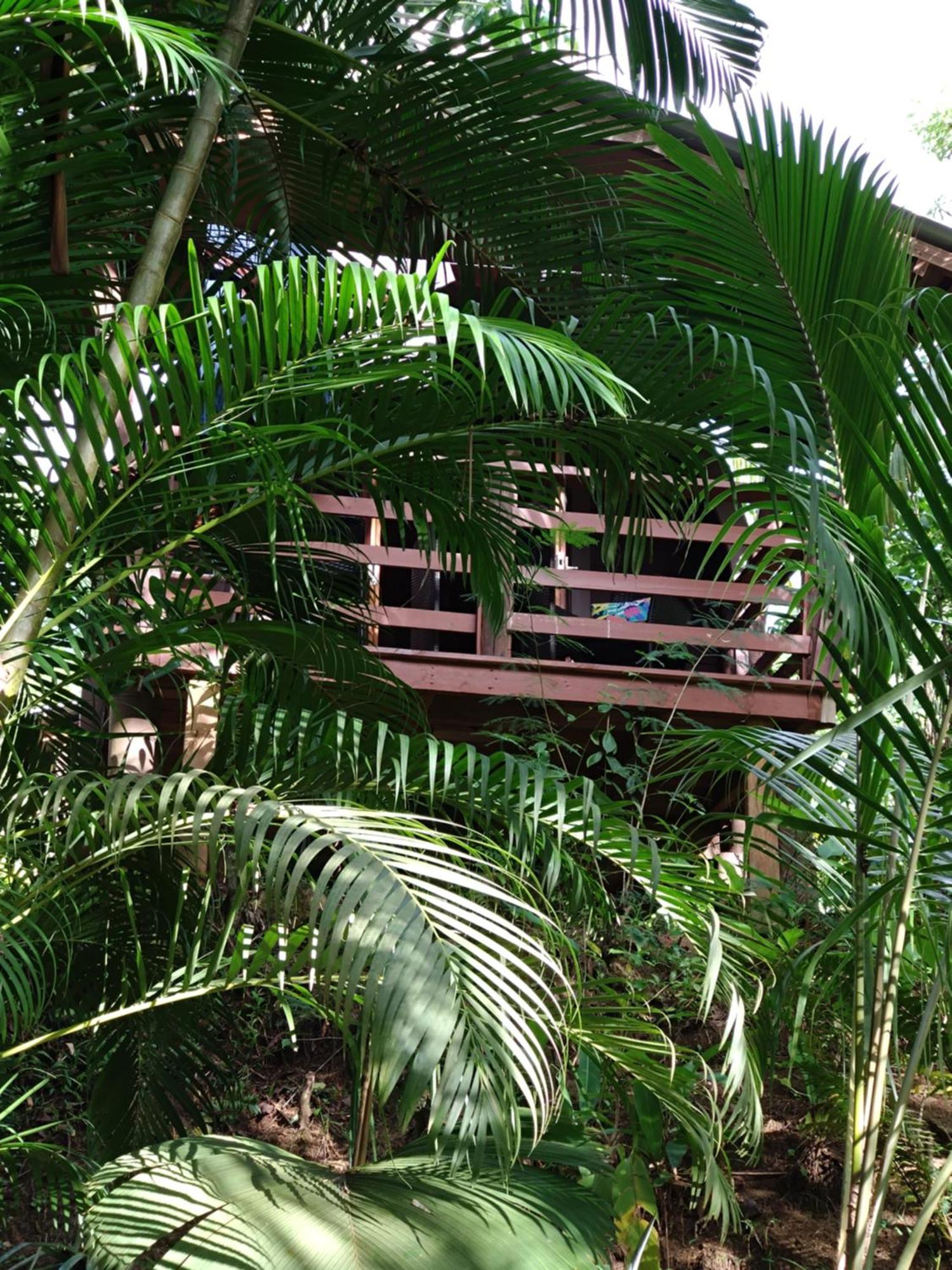Chalet A Peace In Paradise Anse Royale