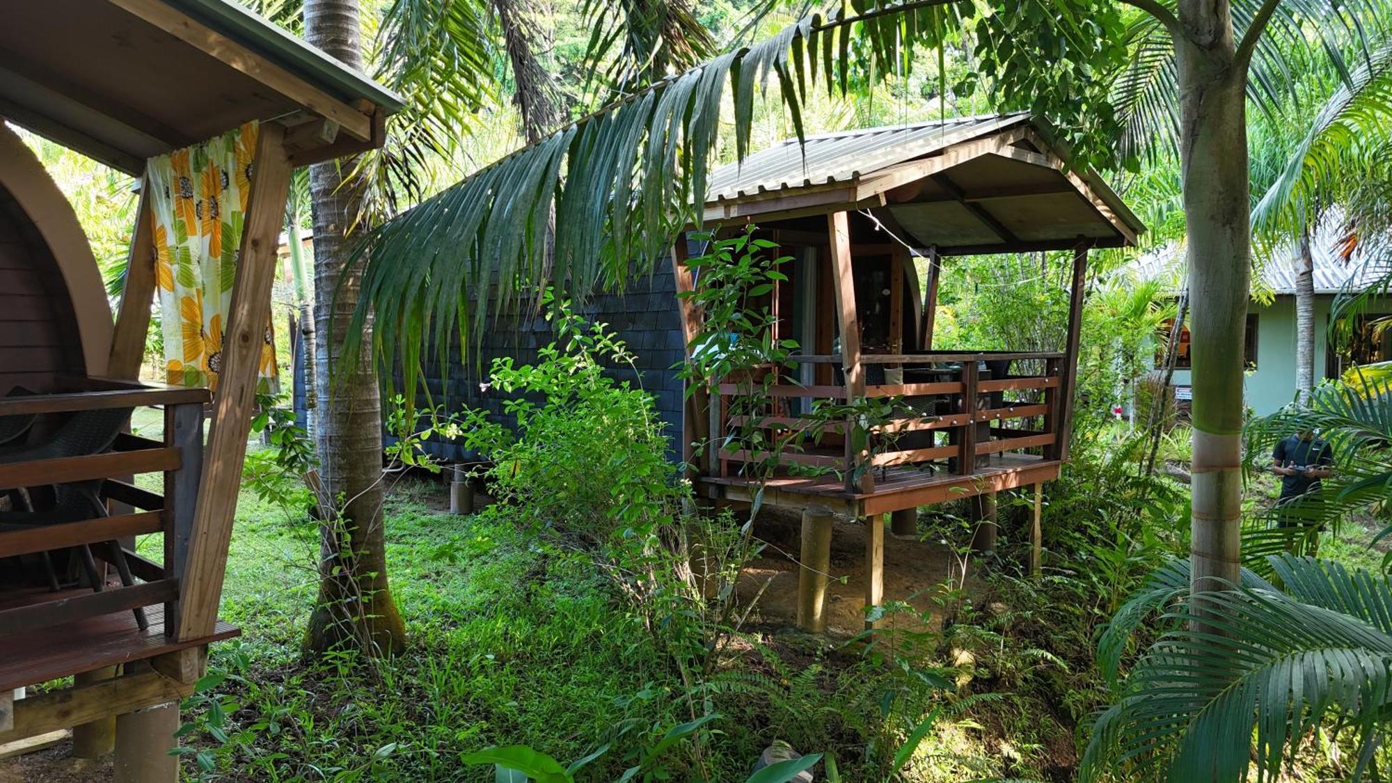 A Peace In Paradise Anse Royale