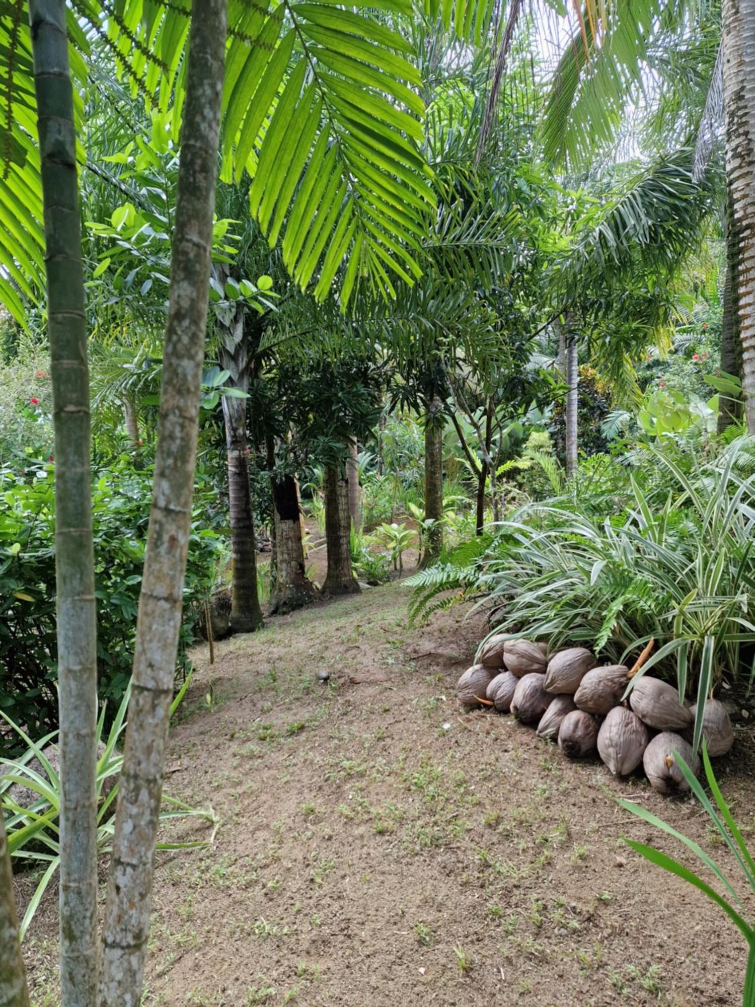 A Peace In Paradise *
