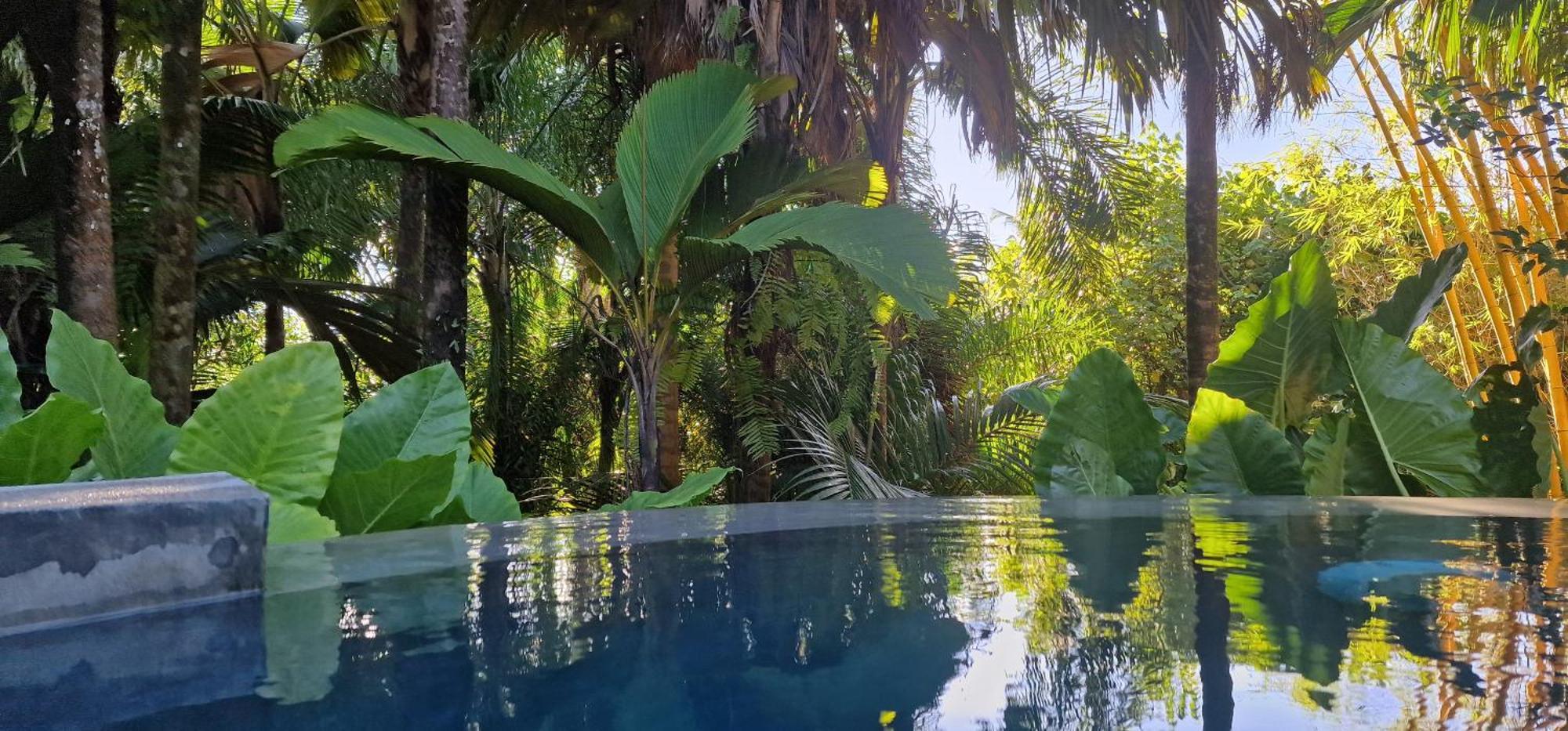 A Peace In Paradise Anse Royale