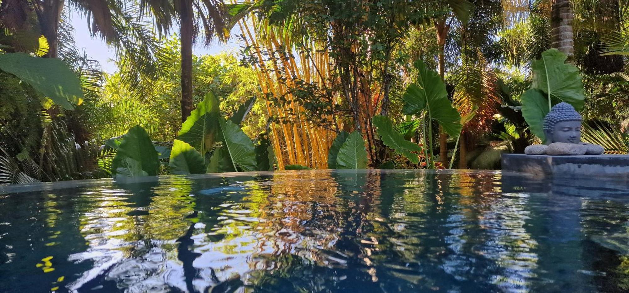 A Peace In Paradise * Anse Royale